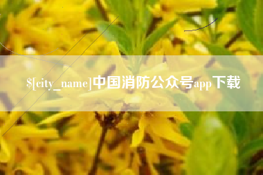 安康中国消防公众号app下载