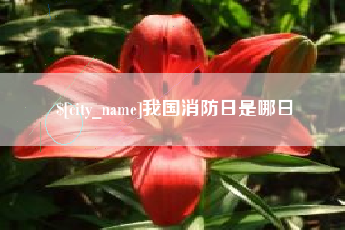 安康我国消防日是哪日
