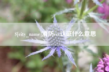 安康消防ccc认证什么意思