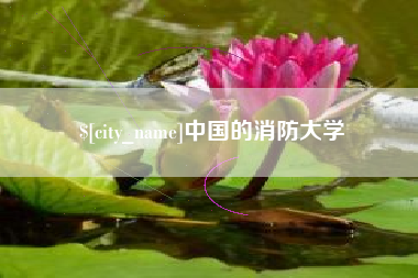安康中国的消防大学
