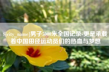 安康男子5000米全国记录-更是承载着中国田径运动员们的热血与梦想