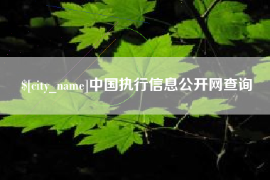 安康中国执行信息公开网查询