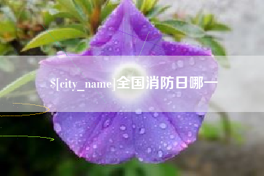 安康全国消防日哪一