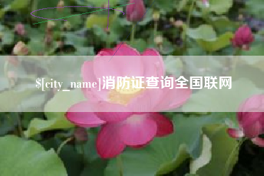 安康消防证查询全国联网