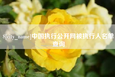 安康中国执行公开网被执行人名单查询