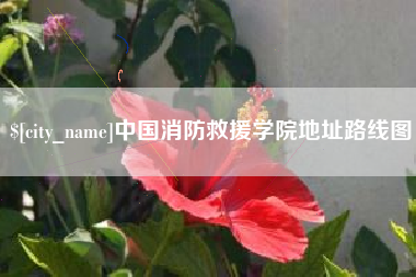 安康中国消防救援学院地址路线图