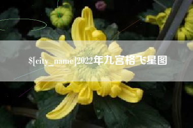 安康2022年九宫格飞星图