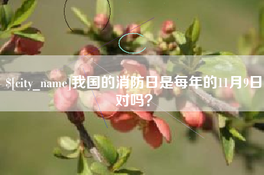 安康我国的消防日是每年的11月9日对吗？