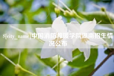 安康中国消防救援学院湖南招生情况公布