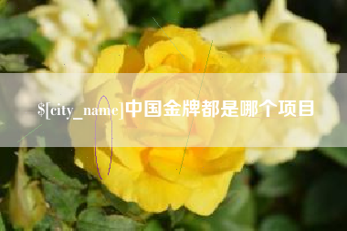 安康中国金牌都是哪个项目