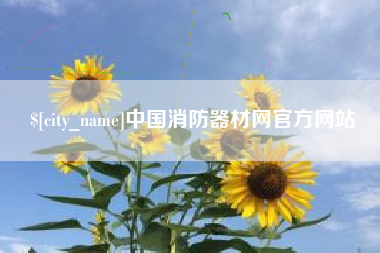 安康中国消防器材网官方网站