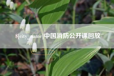 安康中国消防公开课回放