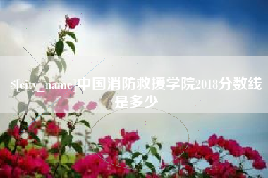 安康中国消防救援学院2018分数线是多少