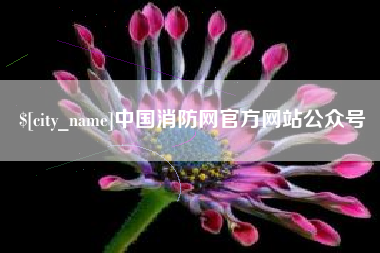安康中国消防网官方网站公众号