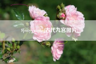 安康古代九宫图片