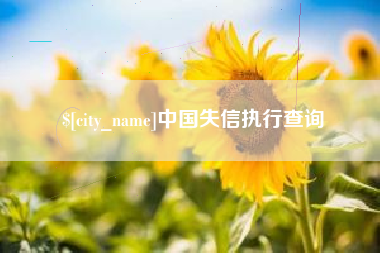 安康中国失信执行查询