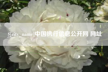 安康中国执行信息公开网 网址