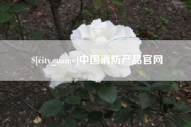 安康中国消防产品官网