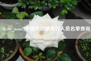 安康中国失信被执行人员名单查询