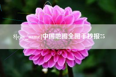 安康中国地图全图手抄报75