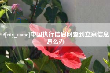 安康中国执行信息网查到立案信息怎么办