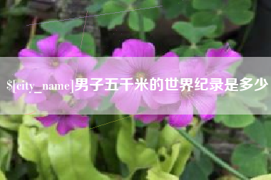 安康男子五千米的世界纪录是多少