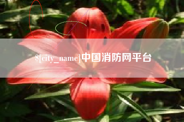 安康中国消防网平台