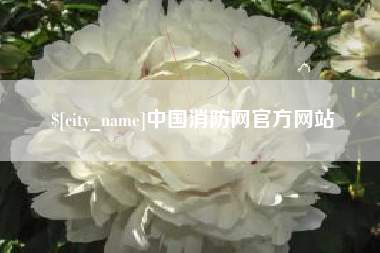 安康中国消防网官方网站