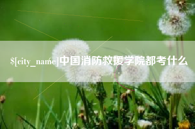 安康中国消防救援学院都考什么