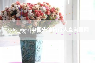 安康中国失信执行人查询官网