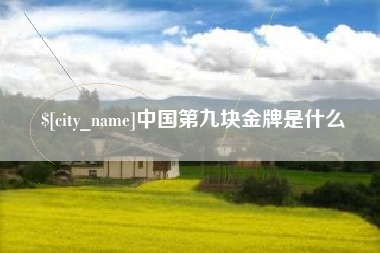 安康中国第九块金牌是什么