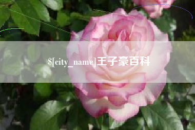 安康王子豪百科