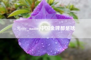安康中国金牌都是啥