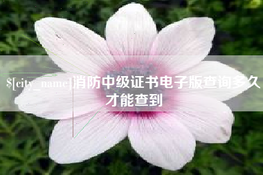安康消防中级证书电子版查询多久才能查到