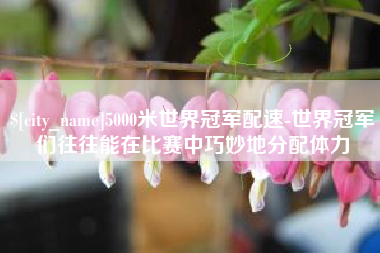 安康5000米世界冠军配速-世界冠军们往往能在比赛中巧妙地分配体力
