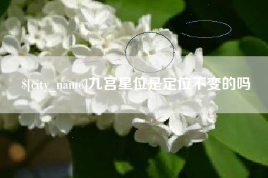 安康九宫星位是定位不变的吗