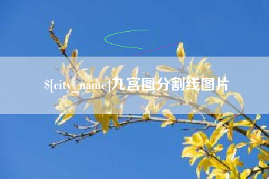 安康九宫图分割线图片