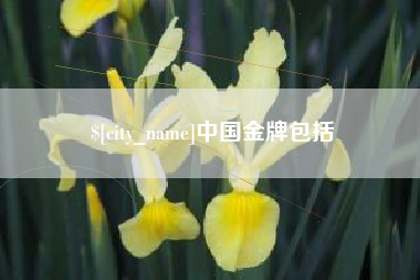 安康中国金牌包括