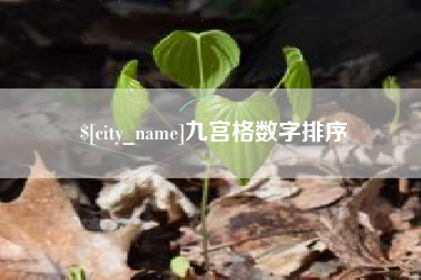 安康九宫格数字排序
