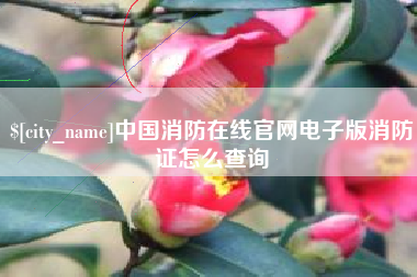 安康中国消防在线官网电子版消防证怎么查询