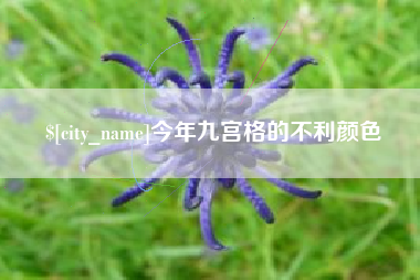 安康今年九宫格的不利颜色