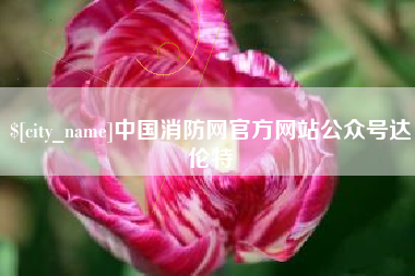 安康中国消防网官方网站公众号达伦特