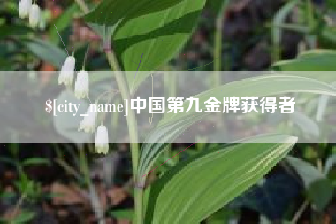 安康中国第九金牌获得者