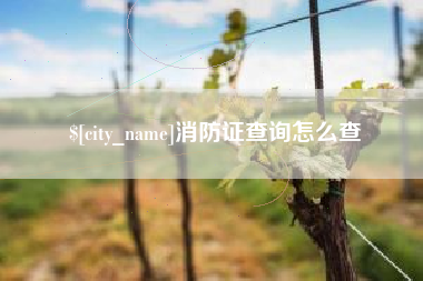 安康消防证查询怎么查