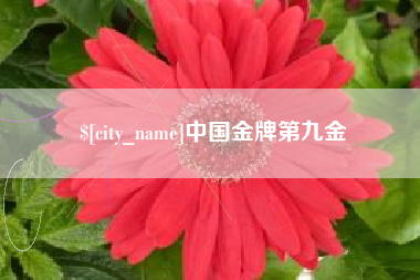 安康中国金牌第九金
