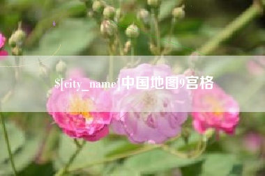 安康中国地图9宫格