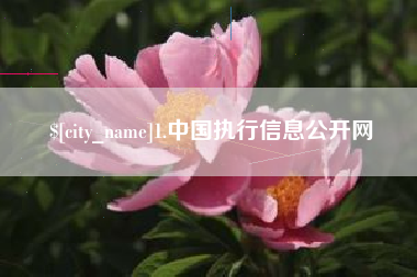 安康1.中国执行信息公开网