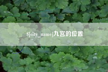 安康九宫的位置