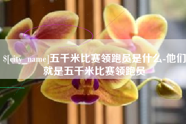 安康五千米比赛领跑员是什么-他们就是五千米比赛领跑员