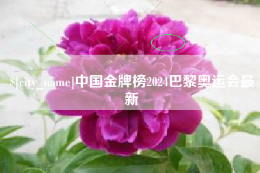 安康中国金牌榜2024巴黎奥运会最新